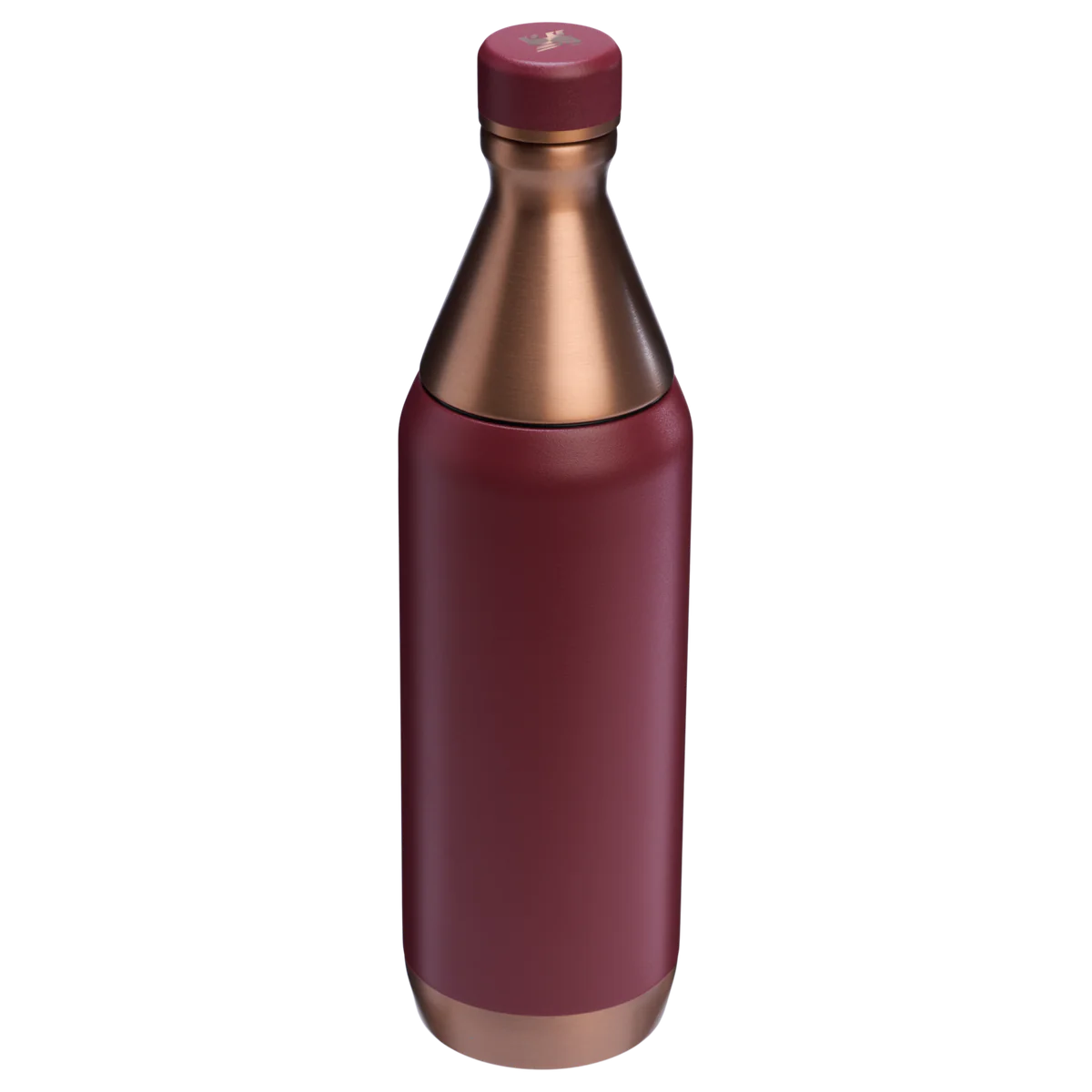 THE HOLIDAY ALL DAY SLIM BOTTLE | 20 OZ