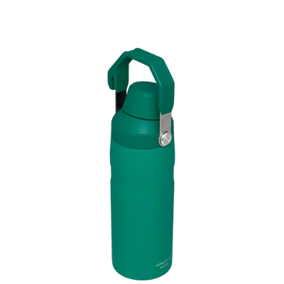 ICEFLOW™ BOTTLE WITH FAST FLOW LID | 16 OZ